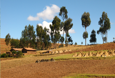 Ingeniería ambiental